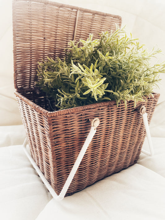 Canasto mimbre